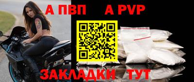 СК Бийск