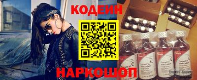 СК Бийск