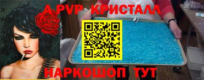 СК Бийск