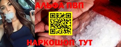 СК Бийск