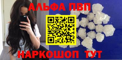СК Бийск