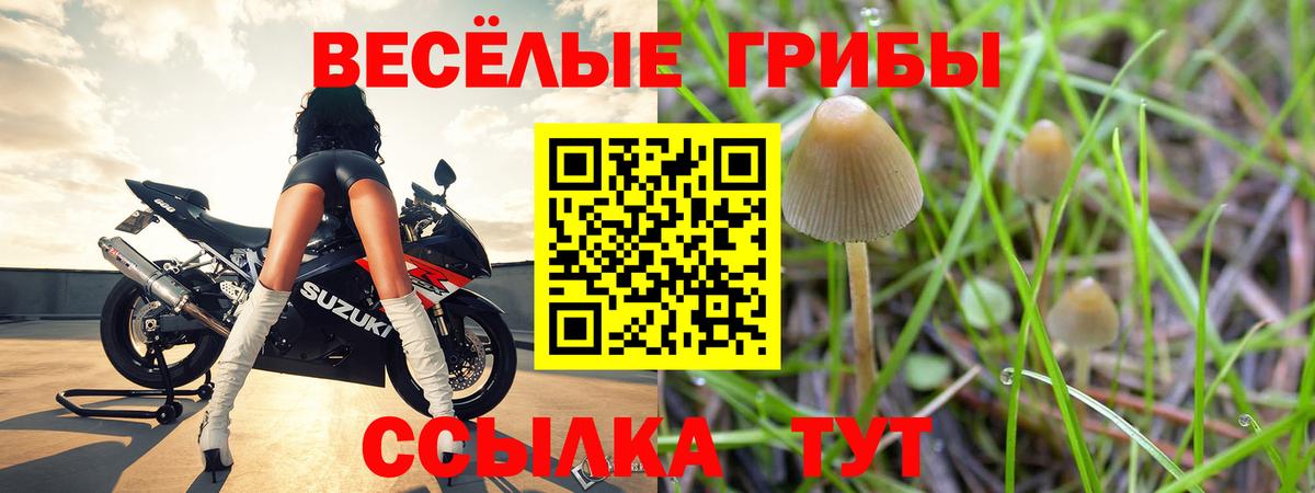 Галлюциногенные грибы мухоморы Зима