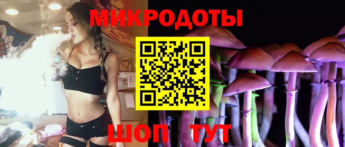 Зима  Псилоцибиновые грибы MAGIC MUSHROOMS  Вход с VPN 